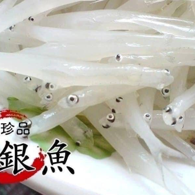  K-活凍水晶銀魚