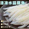  K-活凍水晶銀魚