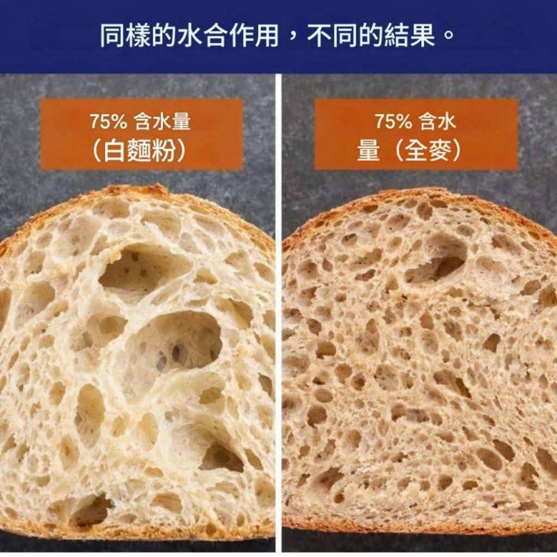 哈碌-酸 種 歐 包 / 貝 果