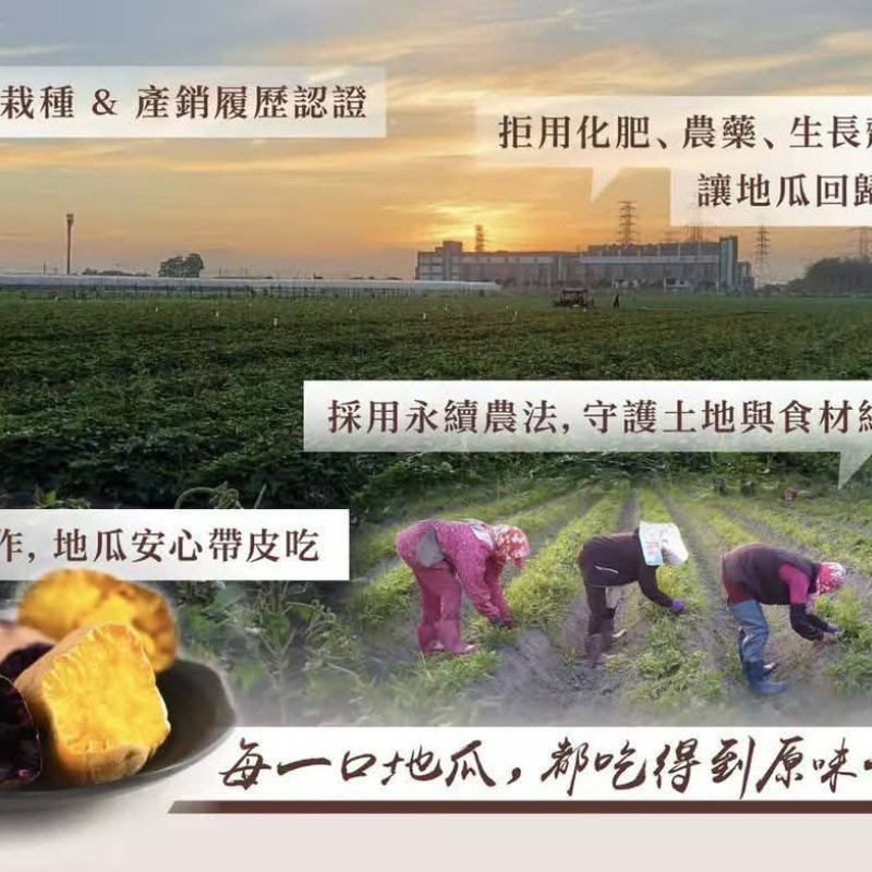 J-冠軍甘薯_冰烤三色地瓜