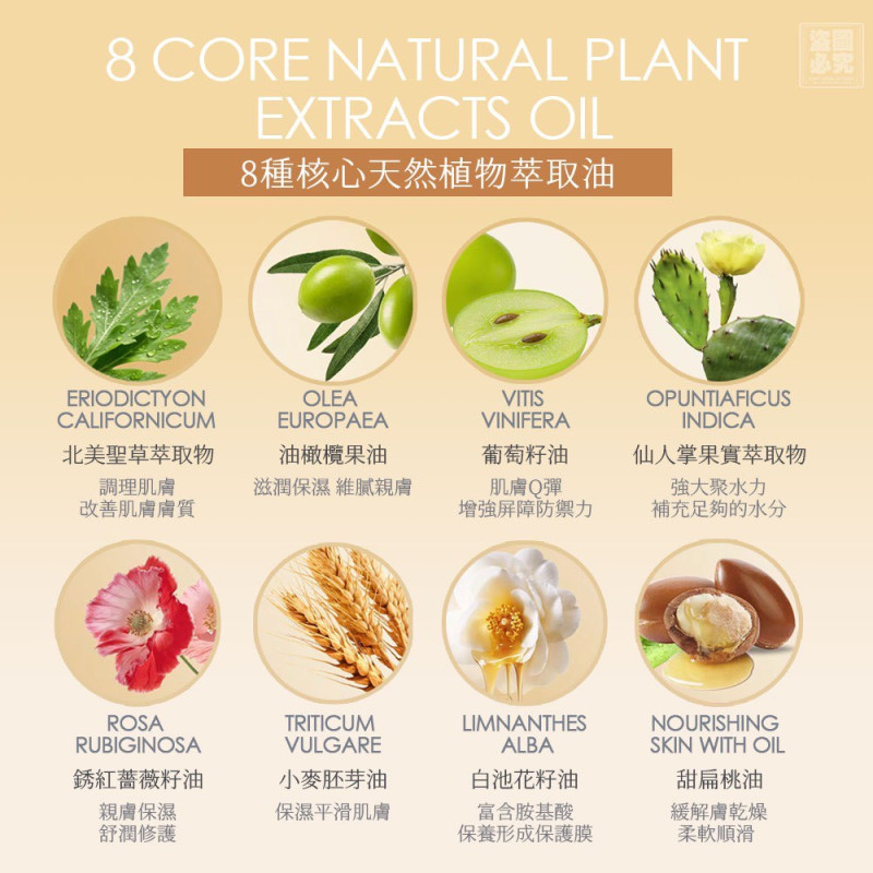 H-薔薇聖草淡紋緊致養膚油