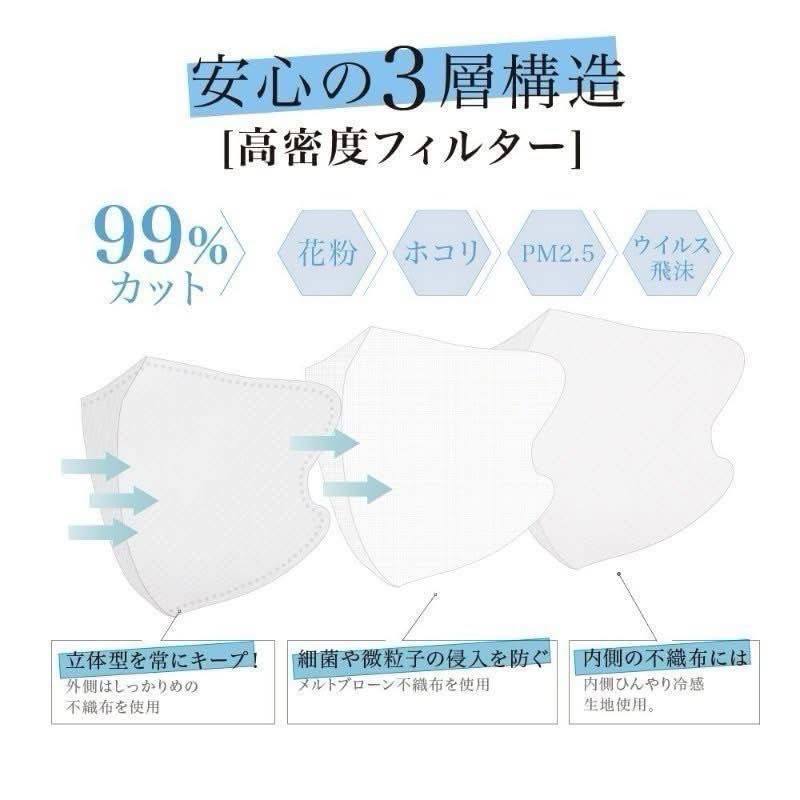 L-日本涼感3D小顏口罩