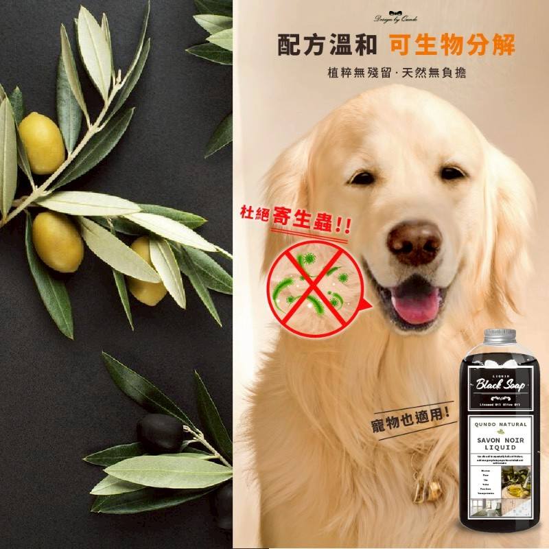 S-萬用家事黑皂液 
