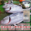 K-正東港黑鮪魚腹排