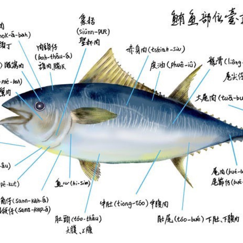 K-正東港黑鮪魚腹排