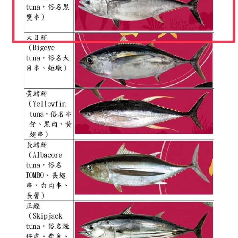 K-正東港黑鮪魚腹排