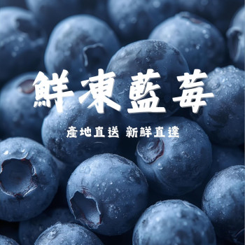 K-IQF急速冷凍藍莓 420收