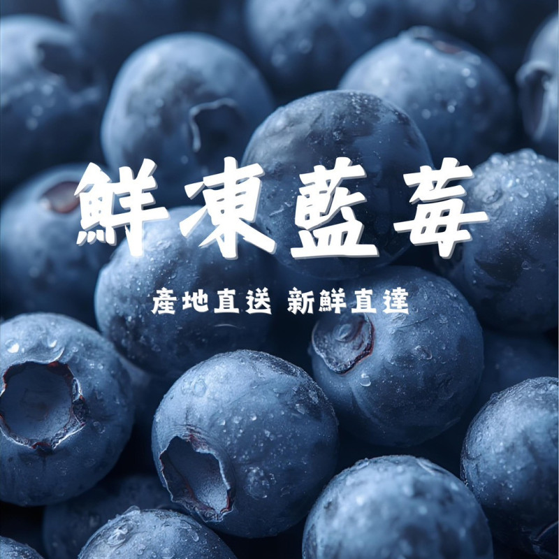K-IQF急速冷凍藍莓 420收
