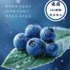 K-IQF急速冷凍藍莓 420收