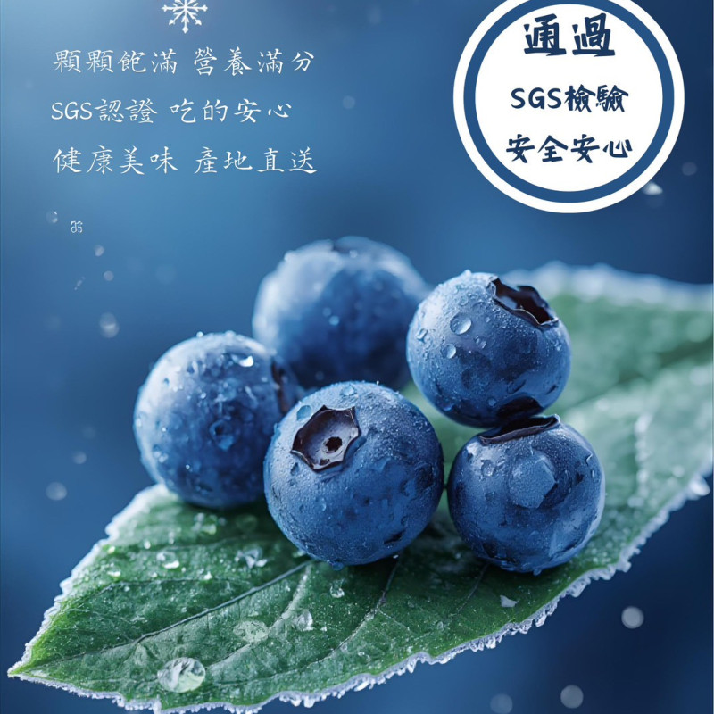 K-IQF急速冷凍藍莓 420收