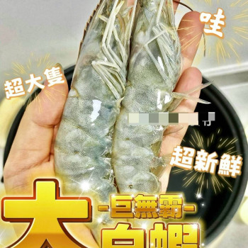 K-巨無霸極品鮮甜白蝦20/30