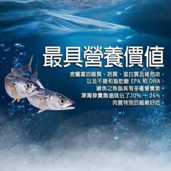 k-頂級南方澳鯖魚