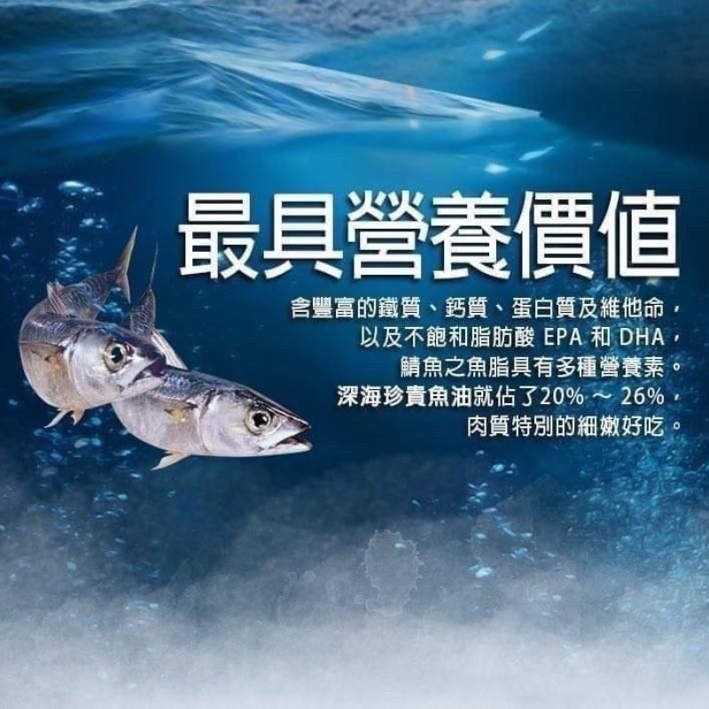 k-頂級南方澳鯖魚
