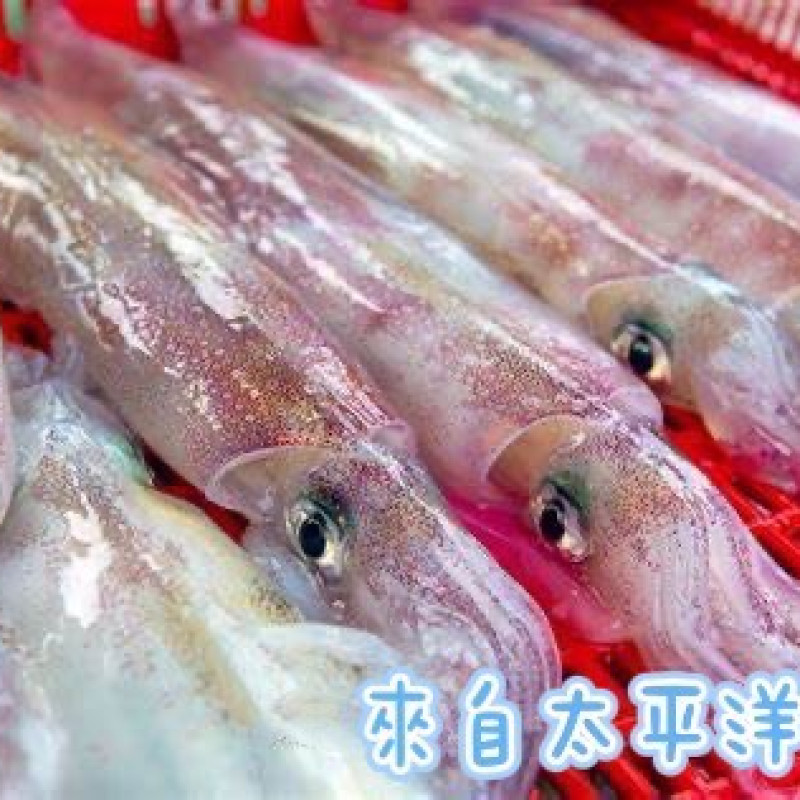 k-現流花東卷（抱卵率30 ％）